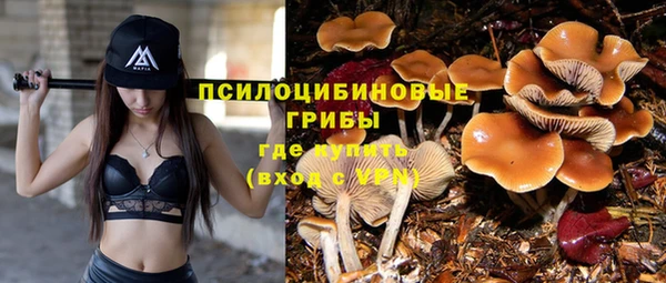 прущая мука Краснотурьинск