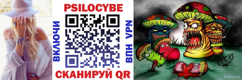 Купить  Дно  Галлюциногенные грибы Psilocybe 